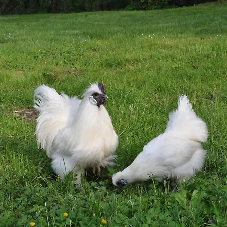 La Ferme De Vrilly Alojamento de Acomodação e Pequeno-almoço
