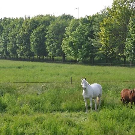 La Ferme De Vrilly Alojamento de Acomodação e Pequeno-almoço