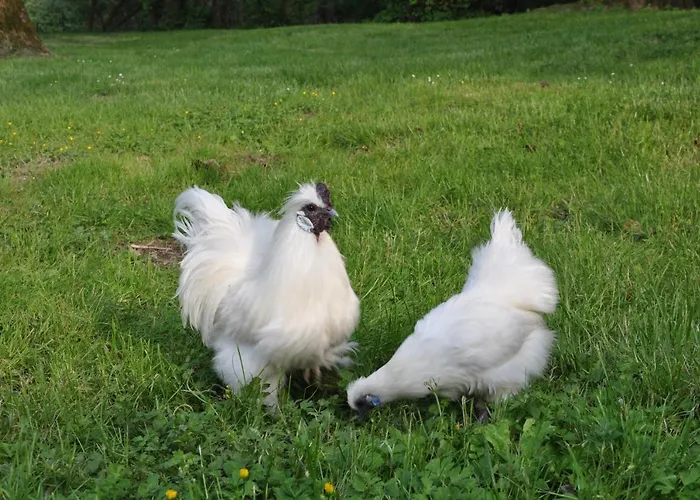 La Ferme De Vrilly Bed & Breakfast