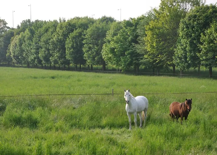 La Ferme De Vrilly Bed & Breakfast