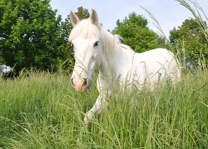 Bed & Breakfast La Ferme De Vrilly 3*
