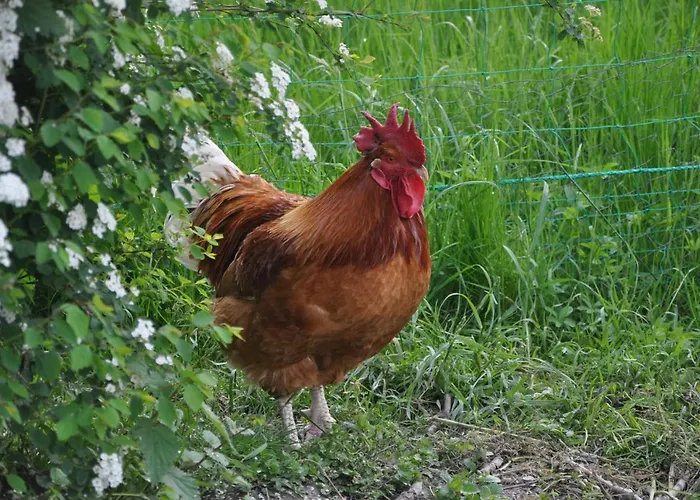 B&B La Ferme De Vrilly 3*